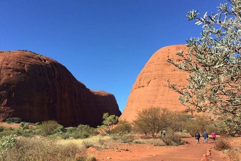 5-Hour Kata Tjuta Sunrise Tour From Ayers Rock With Breakfast - ACT Tourism 2