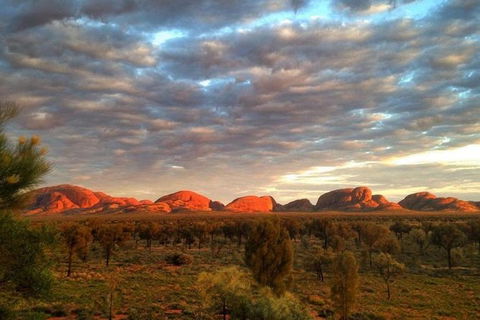 5-Hour Kata Tjuta Sunrise Tour From Ayers Rock With Breakfast - ACT Tourism 0