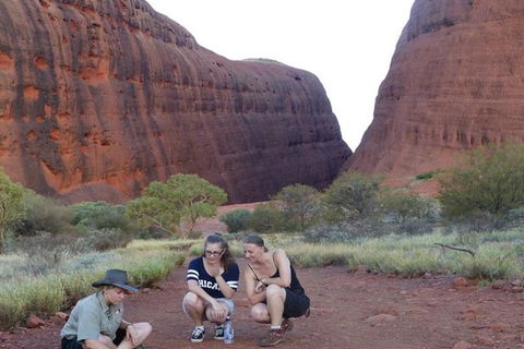 5-Hour Kata Tjuta Sunrise Tour From Ayers Rock With Breakfast - ACT Tourism 3