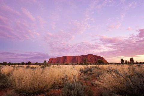 Sunset Australian Barbecue Dinner In Uluru - ACT Tourism 0