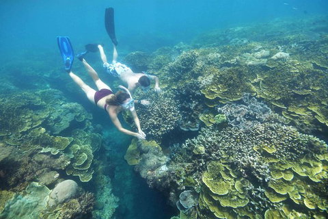 Scenic Helicopter Flight To Moore Reef And Return Snorkeling Cruise From Cairns - ACT Tourism 6