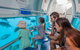 Scenic Helicopter Flight To Moore Reef And Return Snorkeling Cruise From Cairns - thumb 4