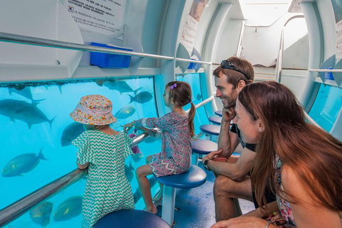 Scenic Helicopter Flight To Moore Reef And Return Snorkeling Cruise From Cairns - ACT Tourism 4