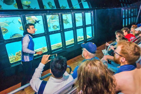 Scenic Helicopter Flight To Moore Reef And Return Snorkeling Cruise From Cairns - ACT Tourism 7