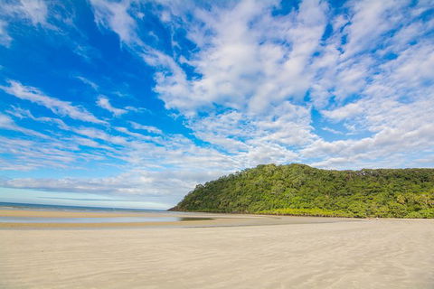 Daintree Afternoon Nocturnal Nature And Wildlife Tour - ACT Tourism 8
