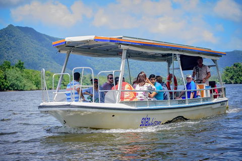 Daintree Afternoon Nocturnal Nature And Wildlife Tour - ACT Tourism 6
