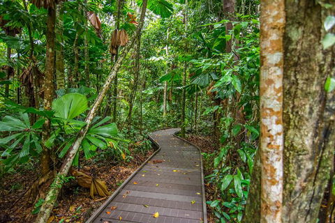 Daintree Afternoon Nocturnal Nature And Wildlife Tour - ACT Tourism 9