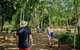 Scenic Cooktown & Outback (Fly/Drive) From Cairns Or Port Douglas - thumb 9