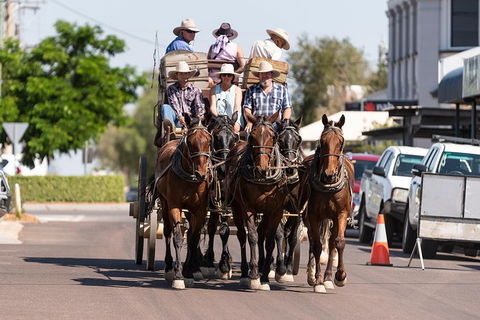 Cobb And Co Stagecoach Experience - ACT Tourism 6