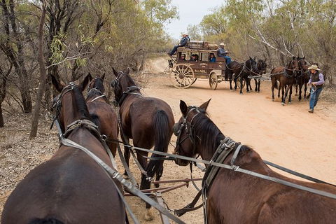 Cobb And Co Stagecoach Experience - ACT Tourism 1