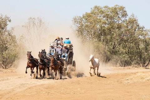 Cobb And Co Stagecoach Experience - ACT Tourism 0