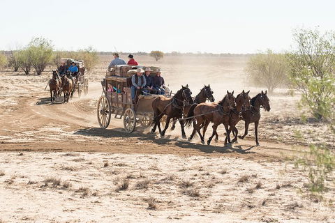 Cobb And Co Stagecoach Experience - ACT Tourism 4