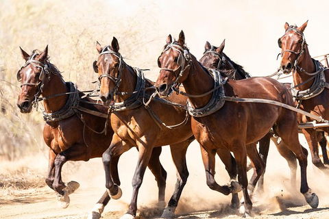 Cobb And Co Stagecoach Experience - ACT Tourism 2