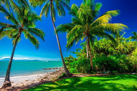 SHUTTLE - Port Douglas And Craiglie Return Transfer - ACT Tourism 2