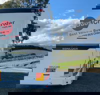 Private 13 Seat Mini Bus Brisbane CBD to Lone Pine Koala Sanctuary Transfer - ACT Tourism