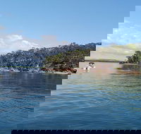 Private Full-Day Guided Tour Russell Lamb Macleay and Karragarra Islands - ACT Tourism