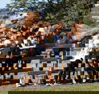 Camel Farm Discovery - ACT Tourism