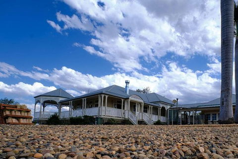 Camel Farm Tour And Taste Near Brisbane - ACT Tourism 1