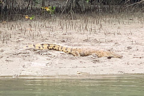 Hinchinbrook Island Tour - ACT Tourism 2