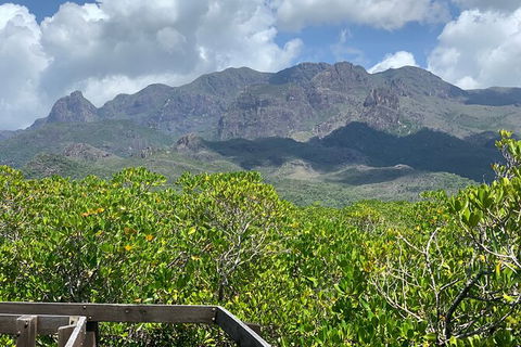 Hinchinbrook Island Tour - ACT Tourism 0