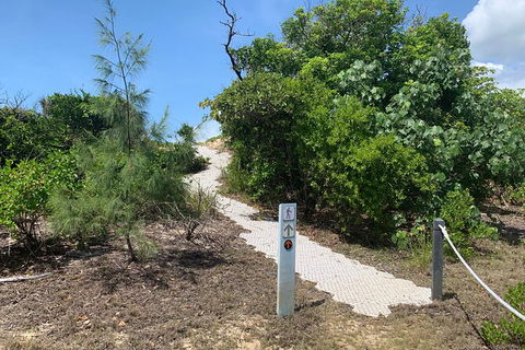 Hinchinbrook Island Tour - ACT Tourism 1