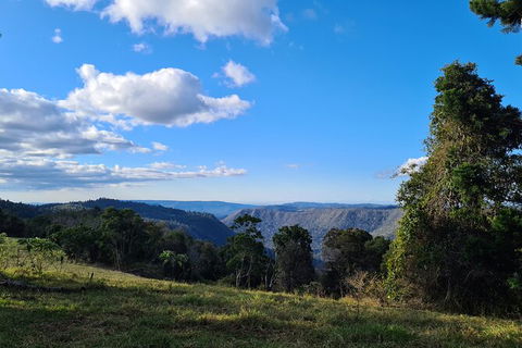O\'Reilly\'s And Binna Burra Full-Day Tour - Lamington National Park - ACT Tourism 5
