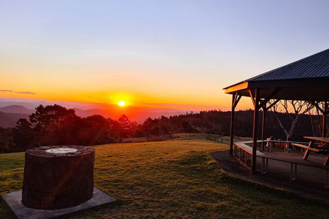 O\'Reilly\'s And Binna Burra Full-Day Tour - Lamington National Park - ACT Tourism 3