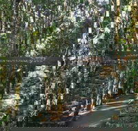 O'Reilly's and Binna Burra Full-Day Tour - Lamington National Park - ACT Tourism