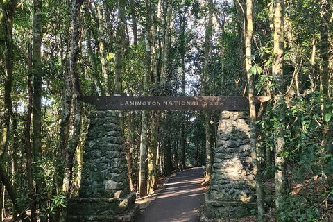 O\'Reilly\'s And Binna Burra Full-Day Tour - Lamington National Park - ACT Tourism 0