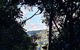 O\'Reilly\'s And Binna Burra Full-Day Tour - Lamington National Park - thumb 7
