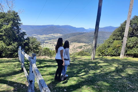 O\'Reilly\'s And Binna Burra Full-Day Tour - Lamington National Park - ACT Tourism 1