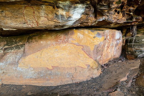 Half Day Aboriginal Rock Art Experience In Queensland - ACT Tourism 3