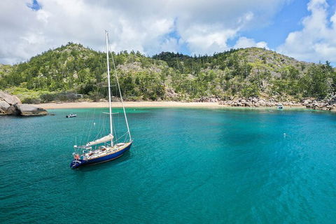 Helicopter And Magnetic Island Sailing - ACT Tourism 8