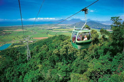 Day Tour To Kuranda, Rainforest And Port Douglas With Flight - ACT Tourism 5