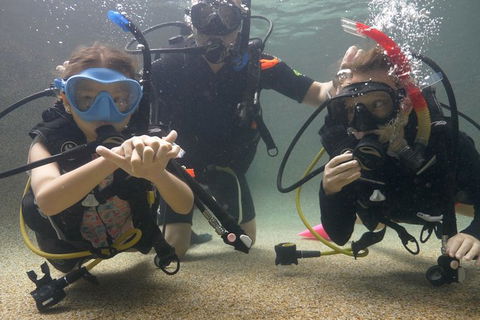 Scuba Kids- Padi Bubblemaker Course - ACT Tourism 4