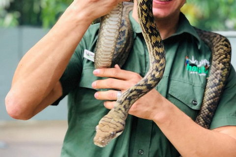 Virtual Interactive Australian Wildlife Tour With Private Guide-Wildlife Habitat - ACT Tourism 3