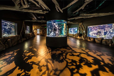 Cairns Aquarium Tour By Twilight With Drink And Appetiser - ACT Tourism 4