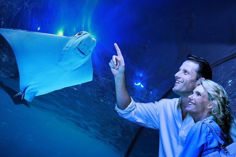 Cairns Aquarium Tour By Twilight With Drink And Appetiser - ACT Tourism 0