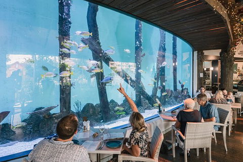 Cairns Aquarium Tour By Twilight With Drink And Appetiser - ACT Tourism 1