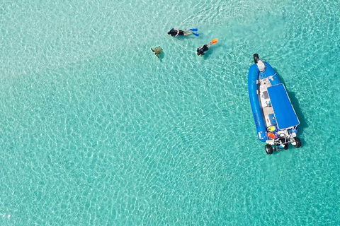 Remote Fraser Island & Whale Experience - ACT Tourism 0