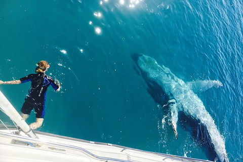 Remote Fraser Island & Whale Experience - ACT Tourism 4