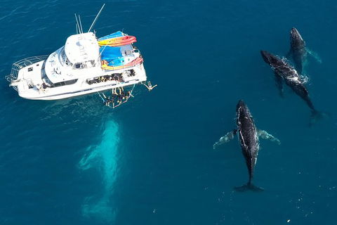 Remote Fraser Island & Whale Experience - ACT Tourism 3