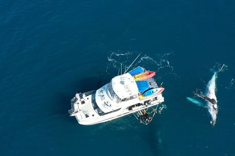 Remote Fraser Island & Whale Experience - ACT Tourism 1