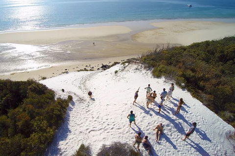 Remote Fraser Island & Whale Experience - ACT Tourism 2