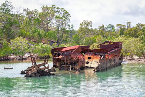 Sandy Straits Scenic & Wildlife Cruise - ACT Tourism 9