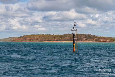 Sandy Straits Scenic & Wildlife Cruise - ACT Tourism 6