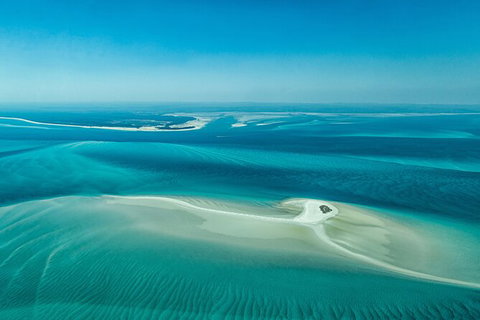 Sandy Straits Scenic & Wildlife Cruise - ACT Tourism 5