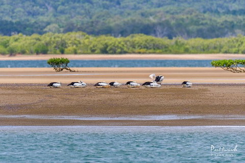 Sandy Straits Scenic & Wildlife Cruise - ACT Tourism 3