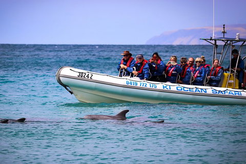 Kangaroo Island 75-Minute Ocean Safari - ACT Tourism 0