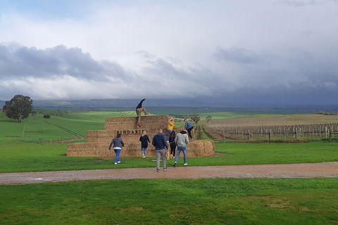 Private Wine Tour - ACT Tourism 4